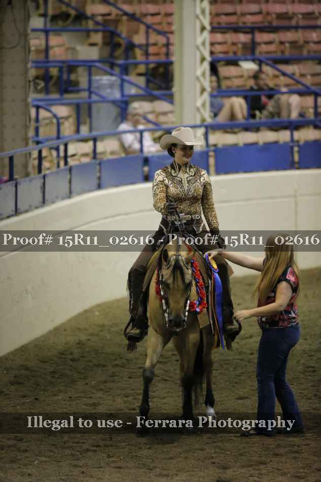 Proof Number 15R11_02616