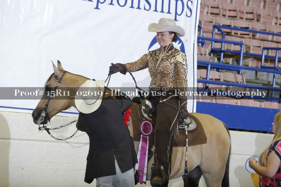 Proof Number 15R11_02619