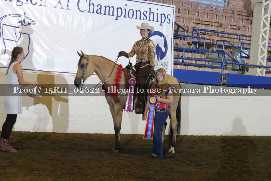 Proof Number 15R11_02622