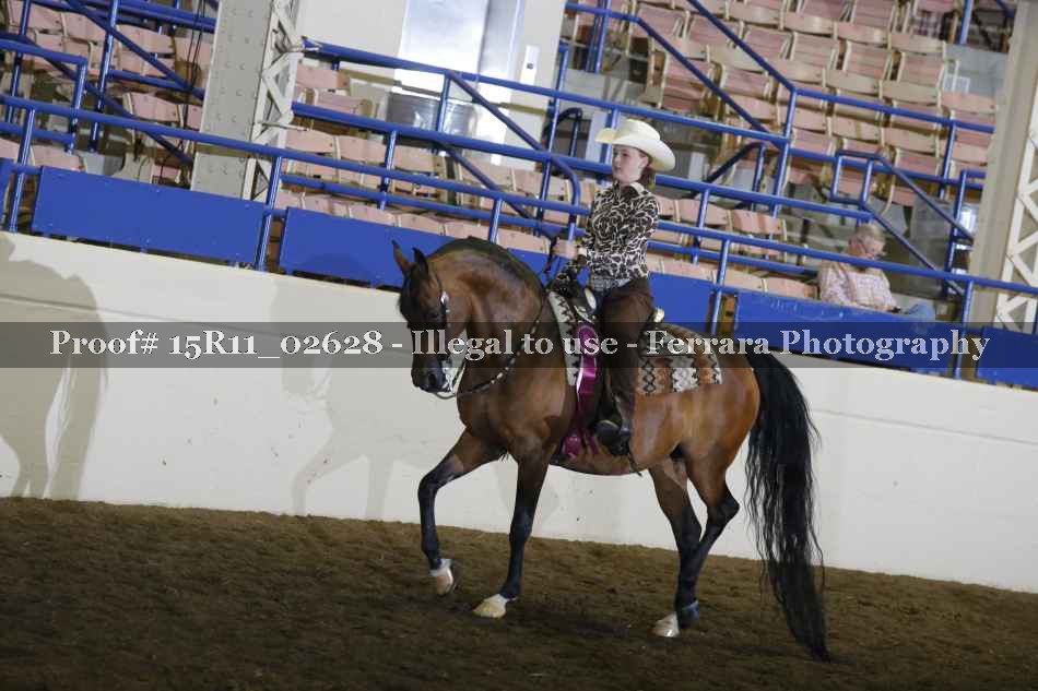 Proof Number 15R11_02628