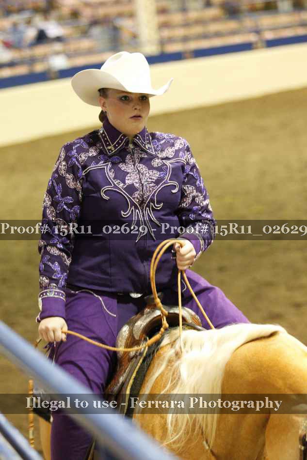 Proof Number 15R11_02629