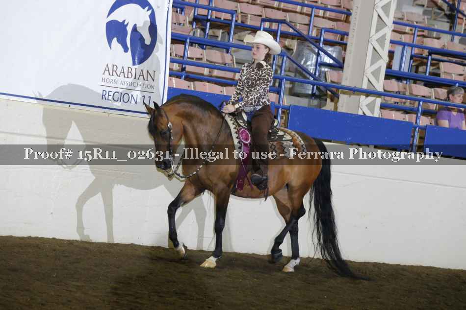 Proof Number 15R11_02631