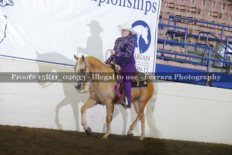 Proof Number 15R11_02633