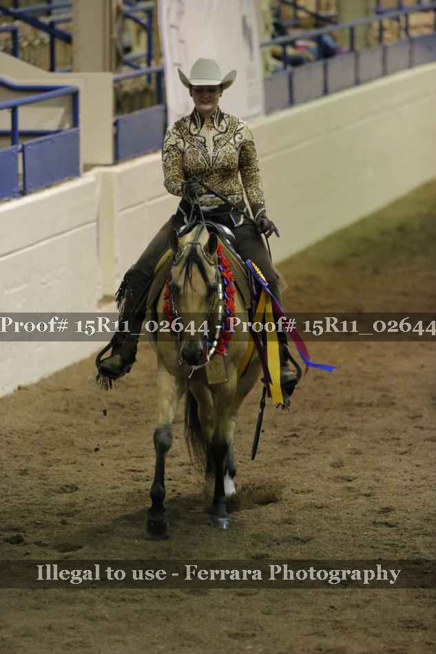 Proof Number 15R11_02644