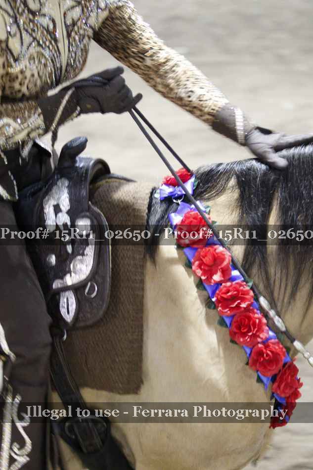 Proof Number 15R11_02650