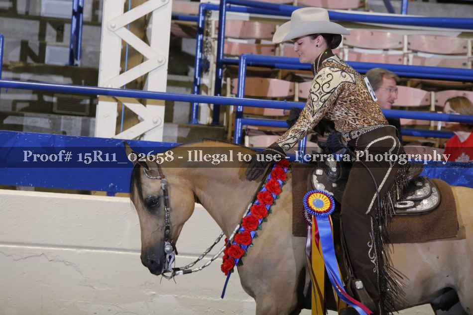 Proof Number 15R11_02658