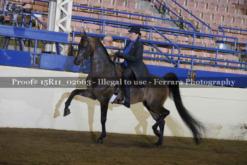 Proof Number 15R11_02663