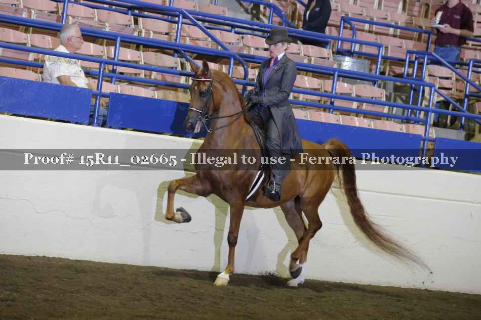 Proof Number 15R11_02665
