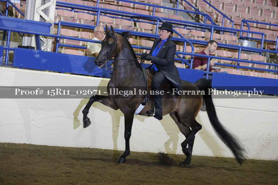 Proof Number 15R11_02671