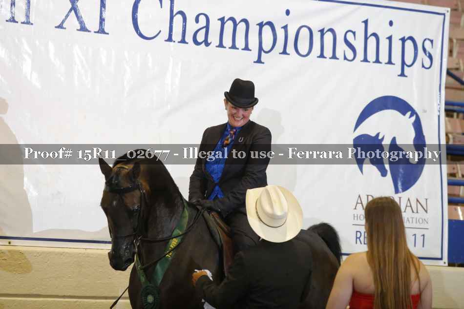 Proof Number 15R11_02677