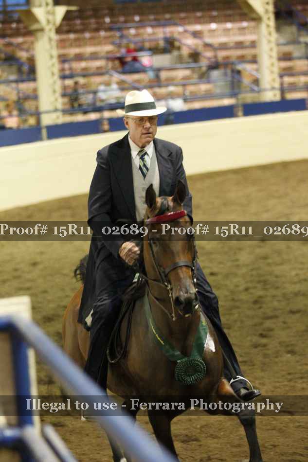 Proof Number 15R11_02689