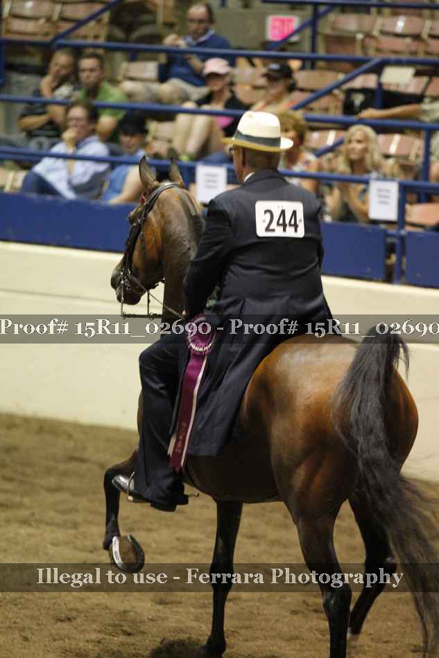 Proof Number 15R11_02690