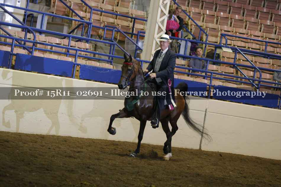 Proof Number 15R11_02691