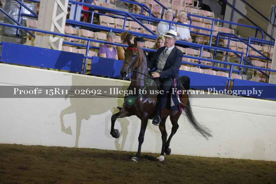 Proof Number 15R11_02692