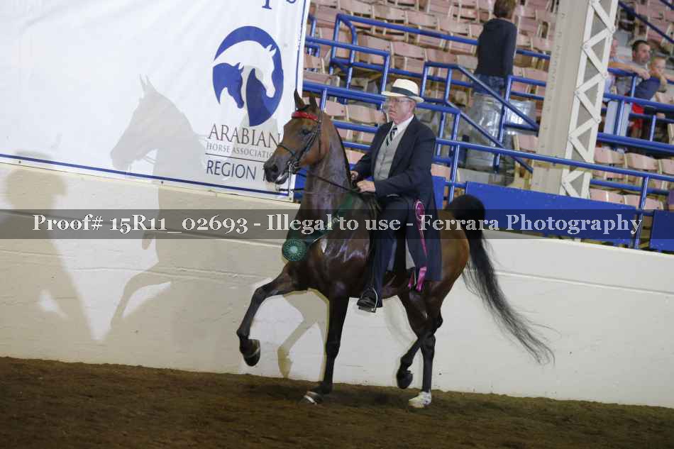 Proof Number 15R11_02693
