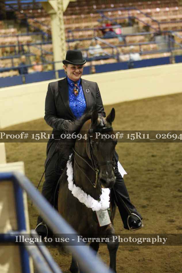 Proof Number 15R11_02694