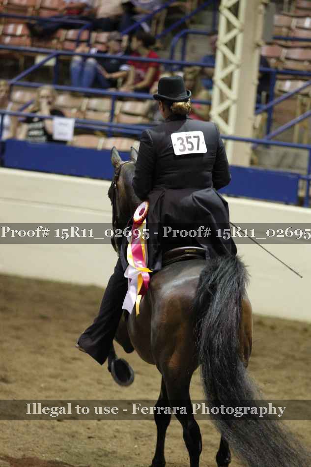 Proof Number 15R11_02695