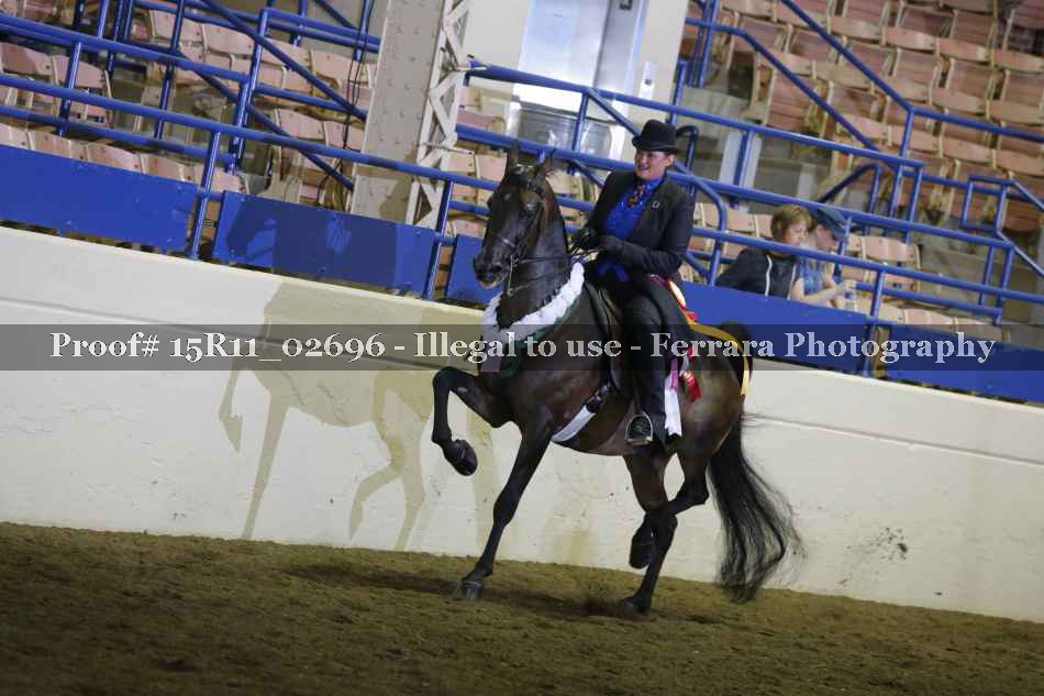 Proof Number 15R11_02696