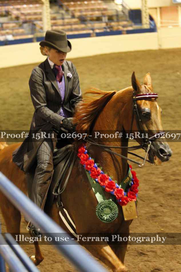 Proof Number 15R11_02697