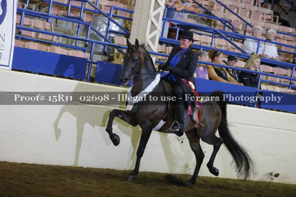 Proof Number 15R11_02698