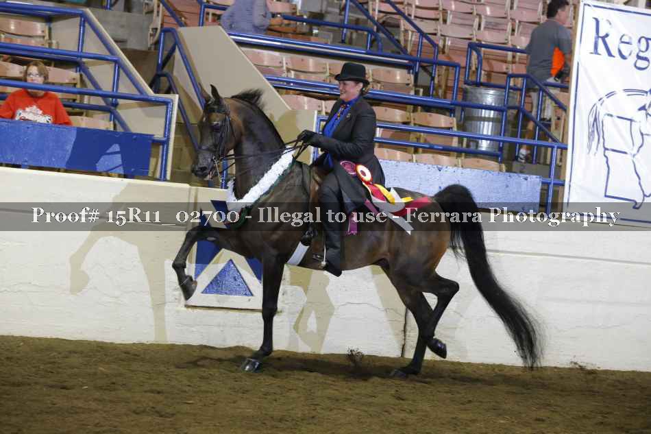 Proof Number 15R11_02700