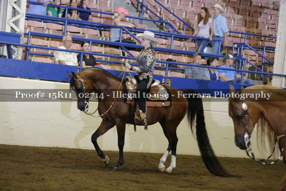 Proof Number 15R11_02714