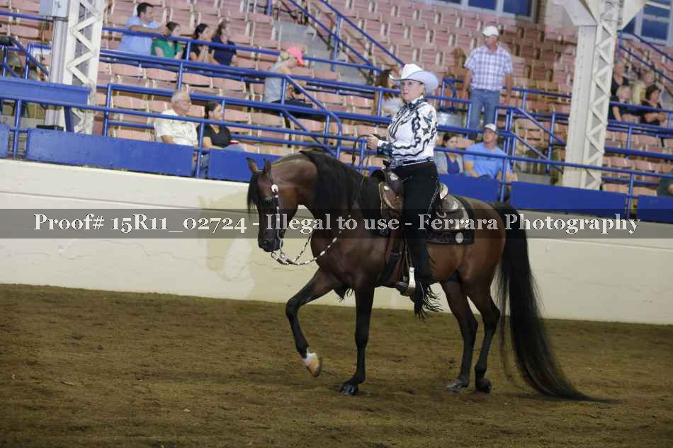 Proof Number 15R11_02724
