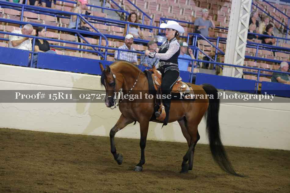 Proof Number 15R11_02727