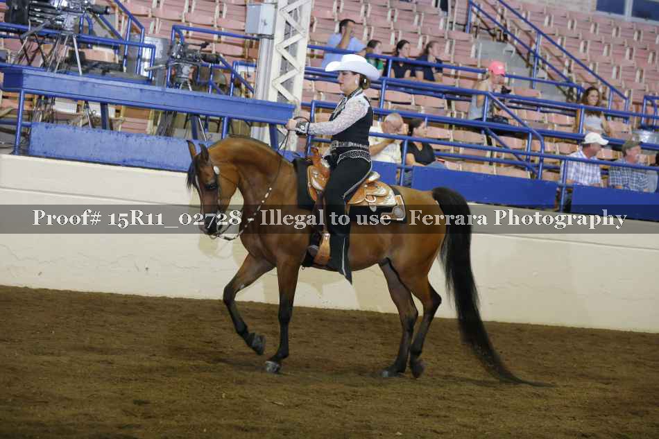 Proof Number 15R11_02728