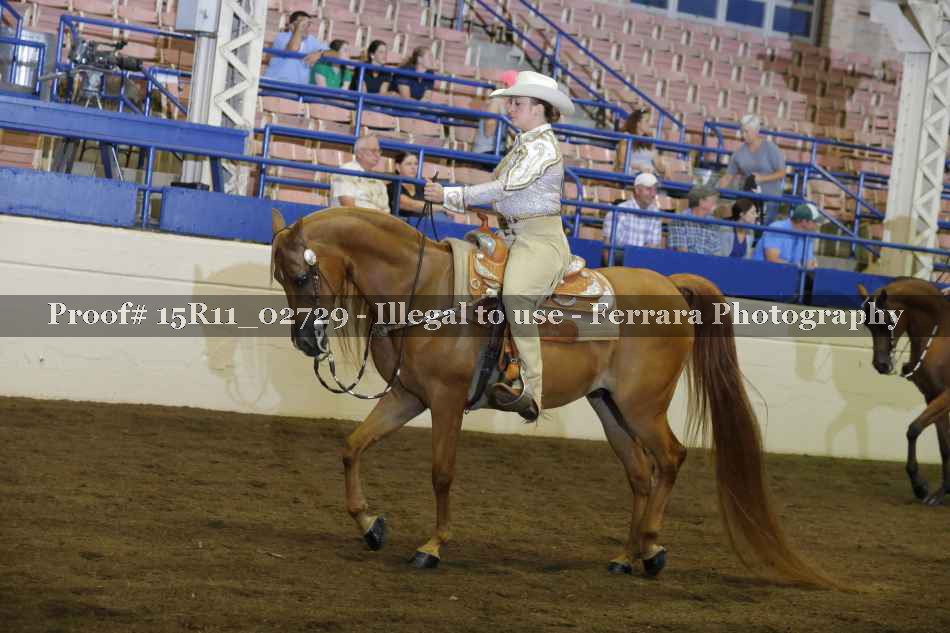 Proof Number 15R11_02729