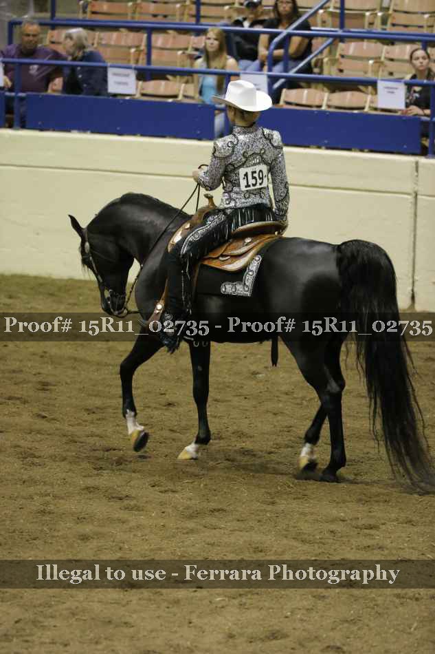 Proof Number 15R11_02735