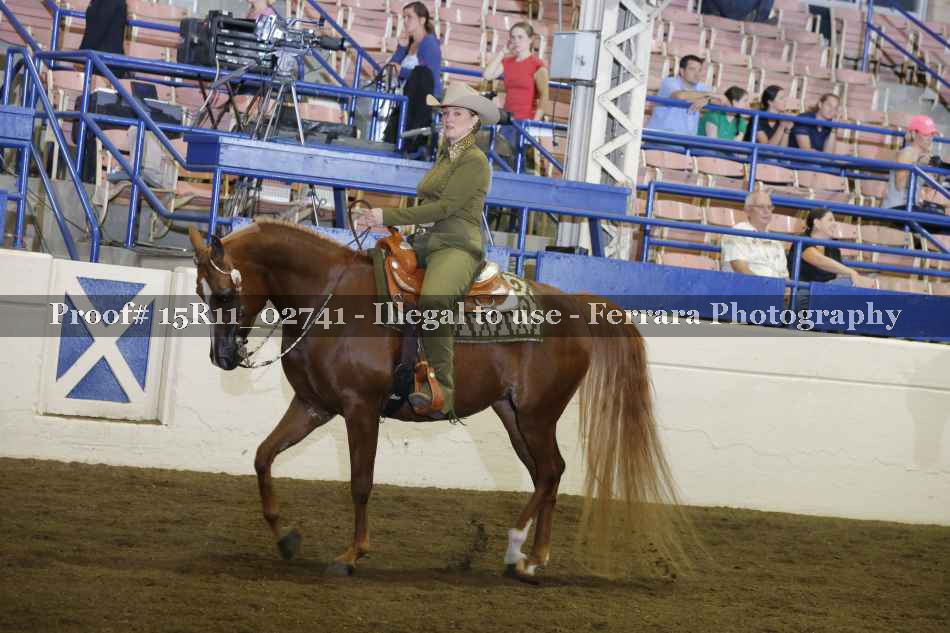 Proof Number 15R11_02741