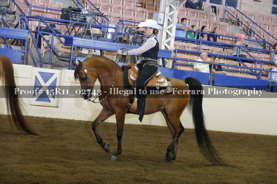 Proof Number 15R11_02743