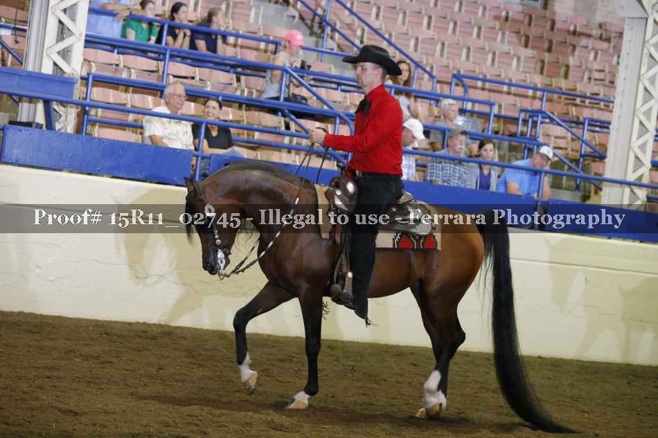Proof Number 15R11_02745