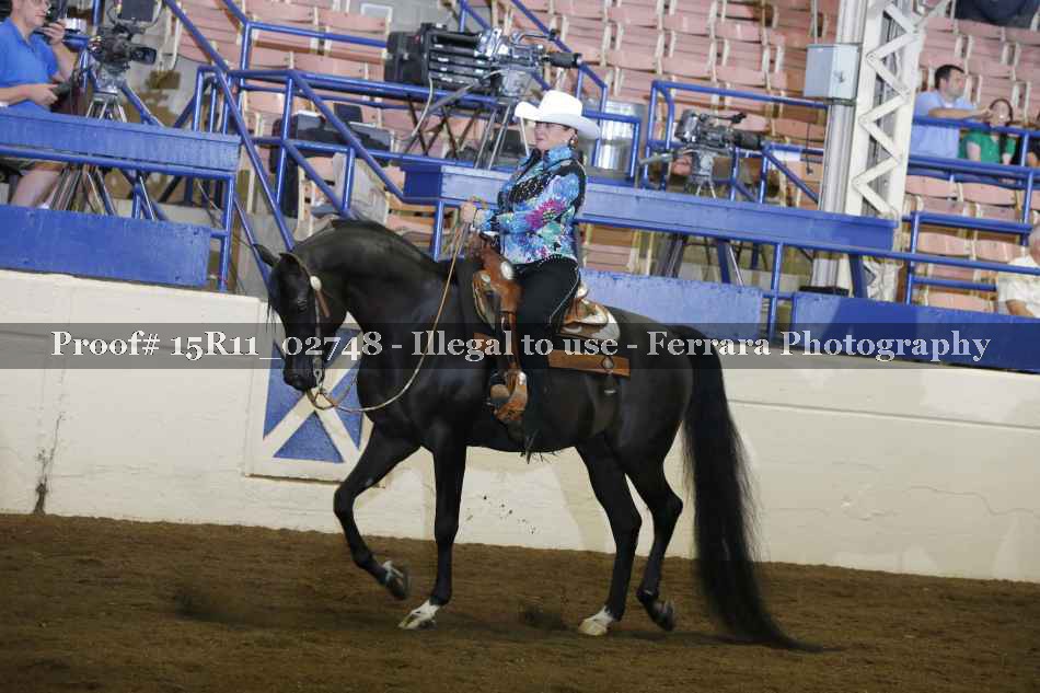 Proof Number 15R11_02748