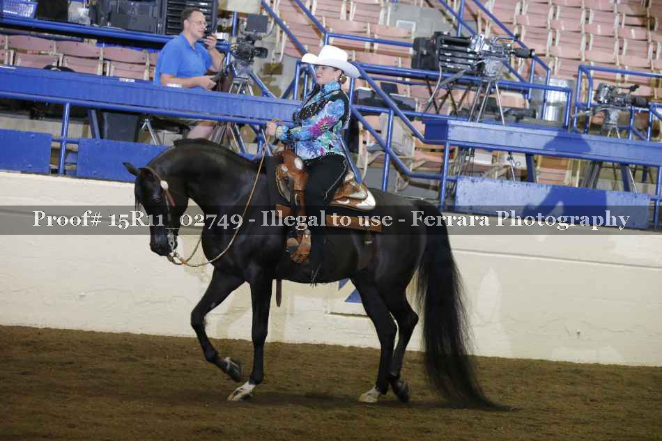 Proof Number 15R11_02749