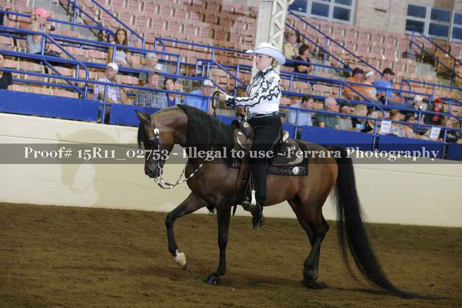 Proof Number 15R11_02753