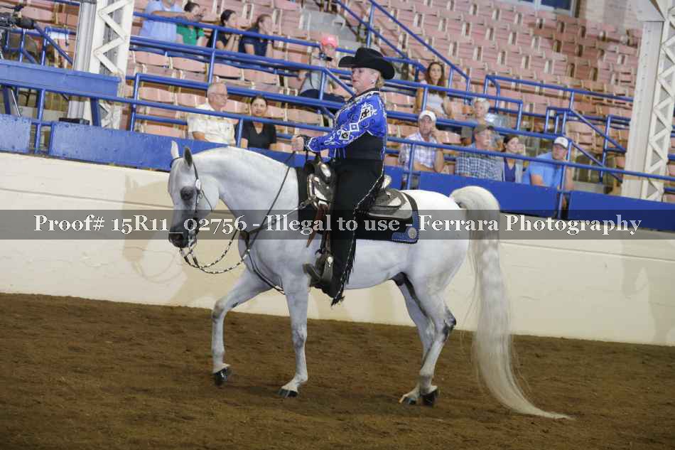 Proof Number 15R11_02756