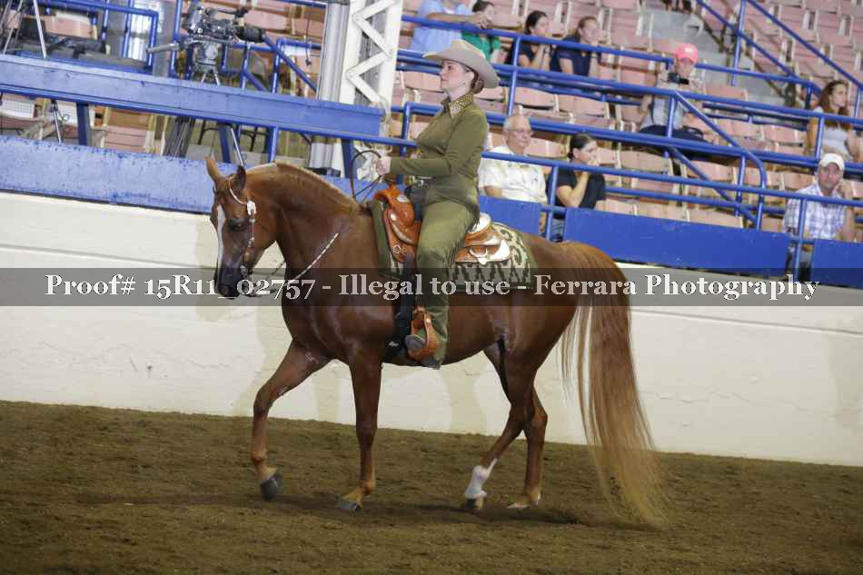 Proof Number 15R11_02757