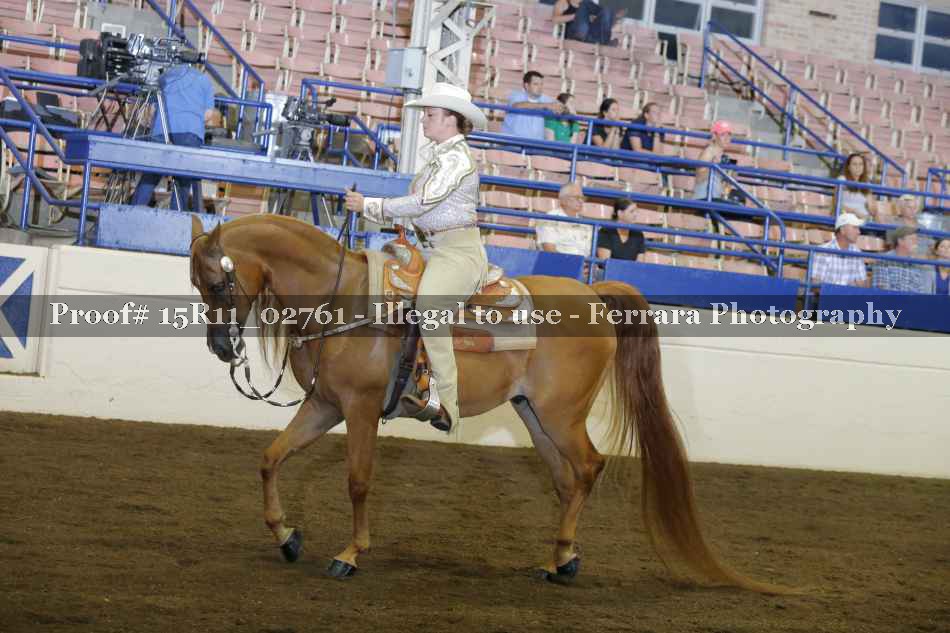 Proof Number 15R11_02761