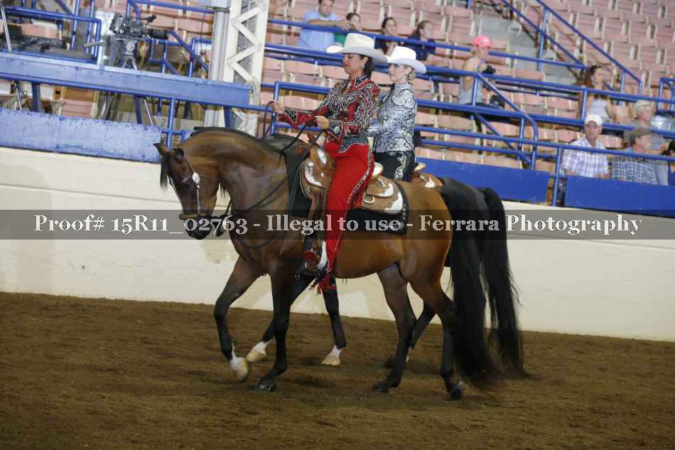 Proof Number 15R11_02763
