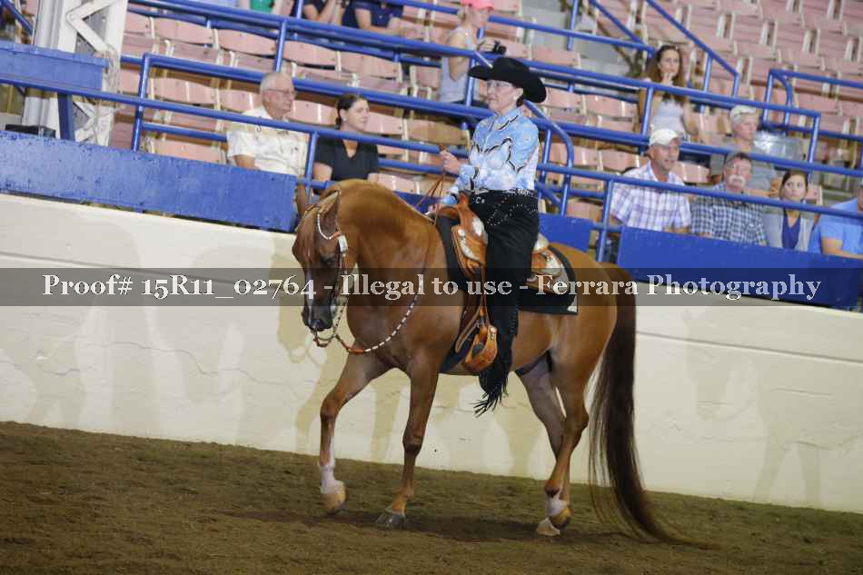 Proof Number 15R11_02764