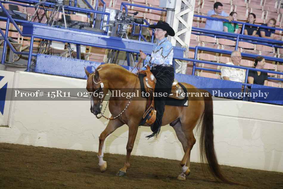 Proof Number 15R11_02765