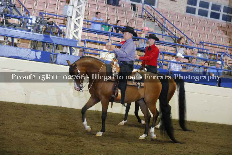 Proof Number 15R11_02766