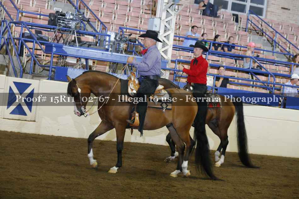Proof Number 15R11_02767