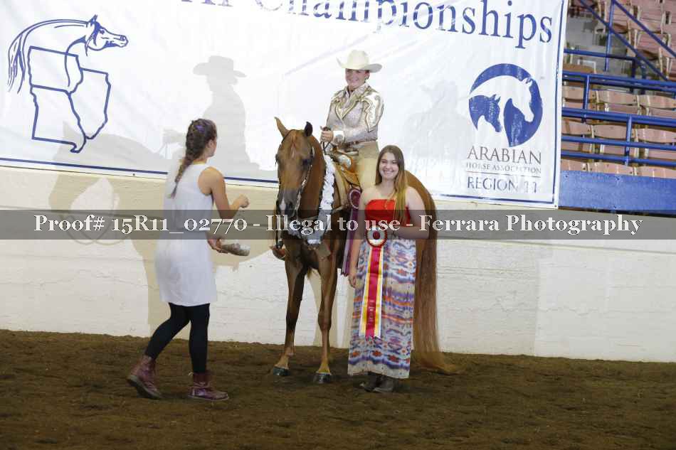 Proof Number 15R11_02770