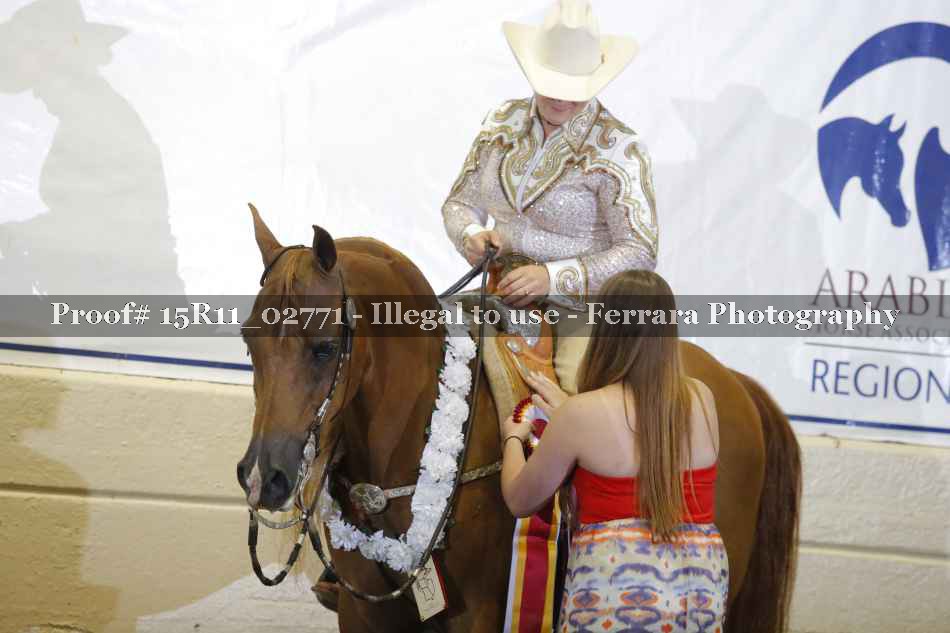 Proof Number 15R11_02771
