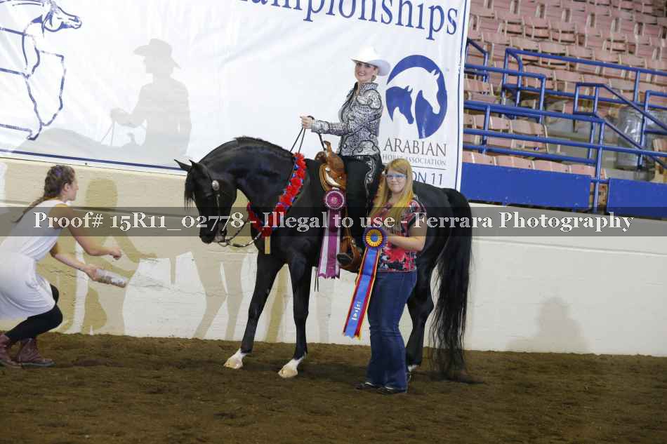 Proof Number 15R11_02778