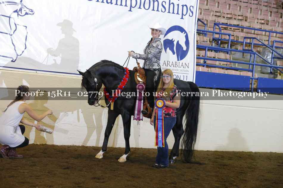 Proof Number 15R11_02779