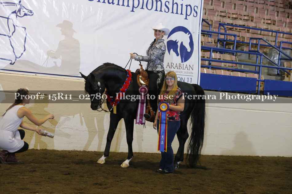 Proof Number 15R11_02780